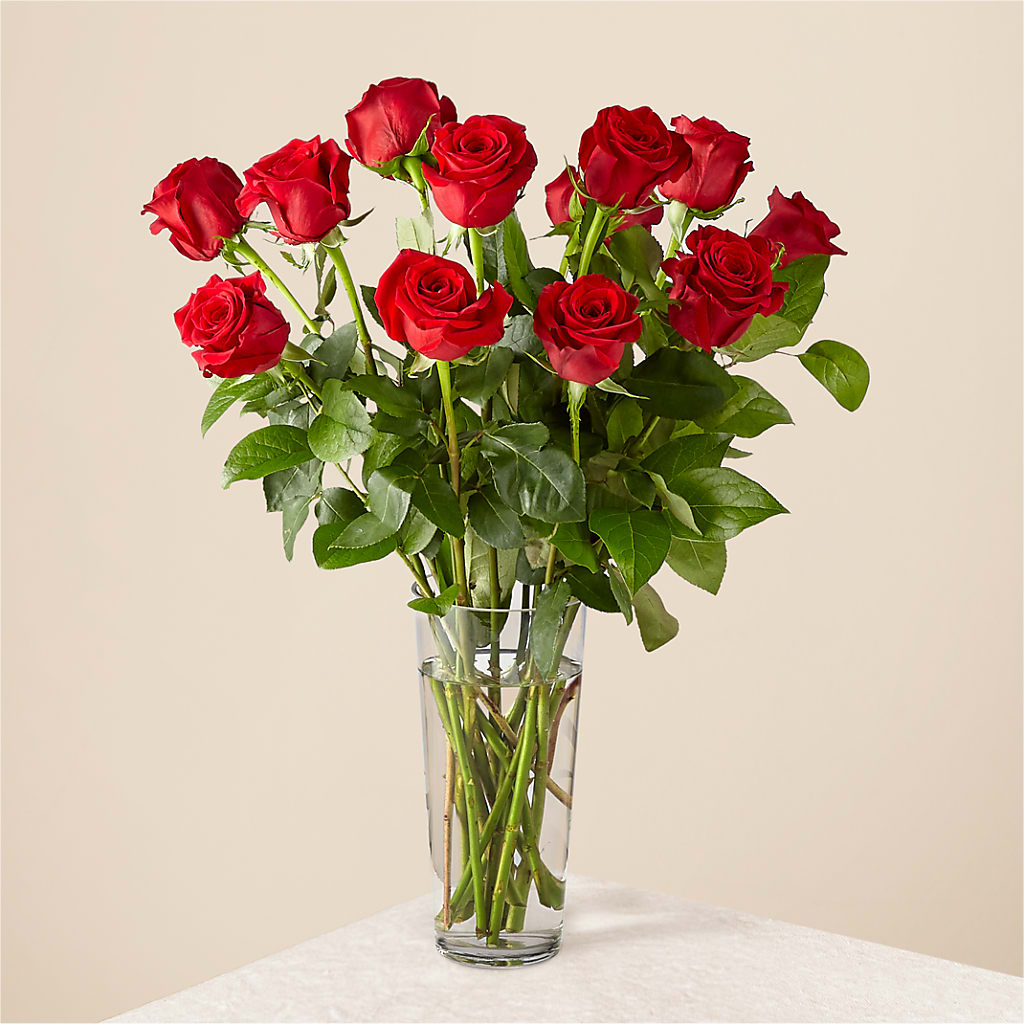 Long Stem Red Rose Bouquet – Jose Arrangements, Los Angeles CA