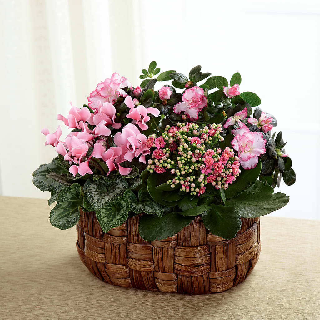 Pink Assortment – Jose Arrangements, Los Angeles CA