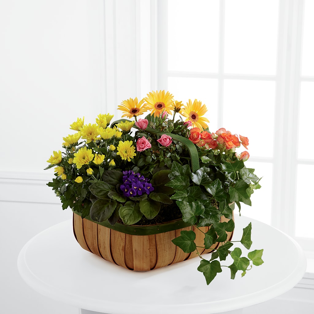 Gentle Blossoms Basket – Jose Arrangements, Los Angeles CA