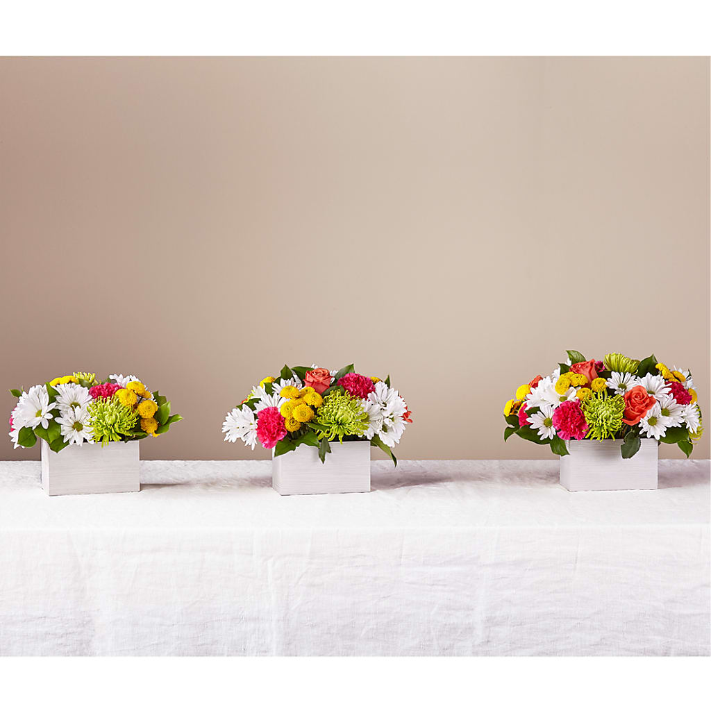 Sorbet Bouquet – Jose Arrangements, Los Angeles CA