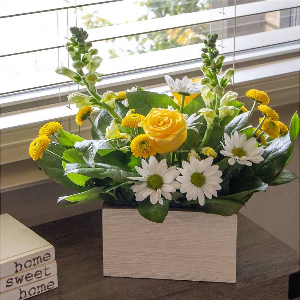 Sun Salutation Box Bouquet – Jose Arrangements, Los Angeles CA