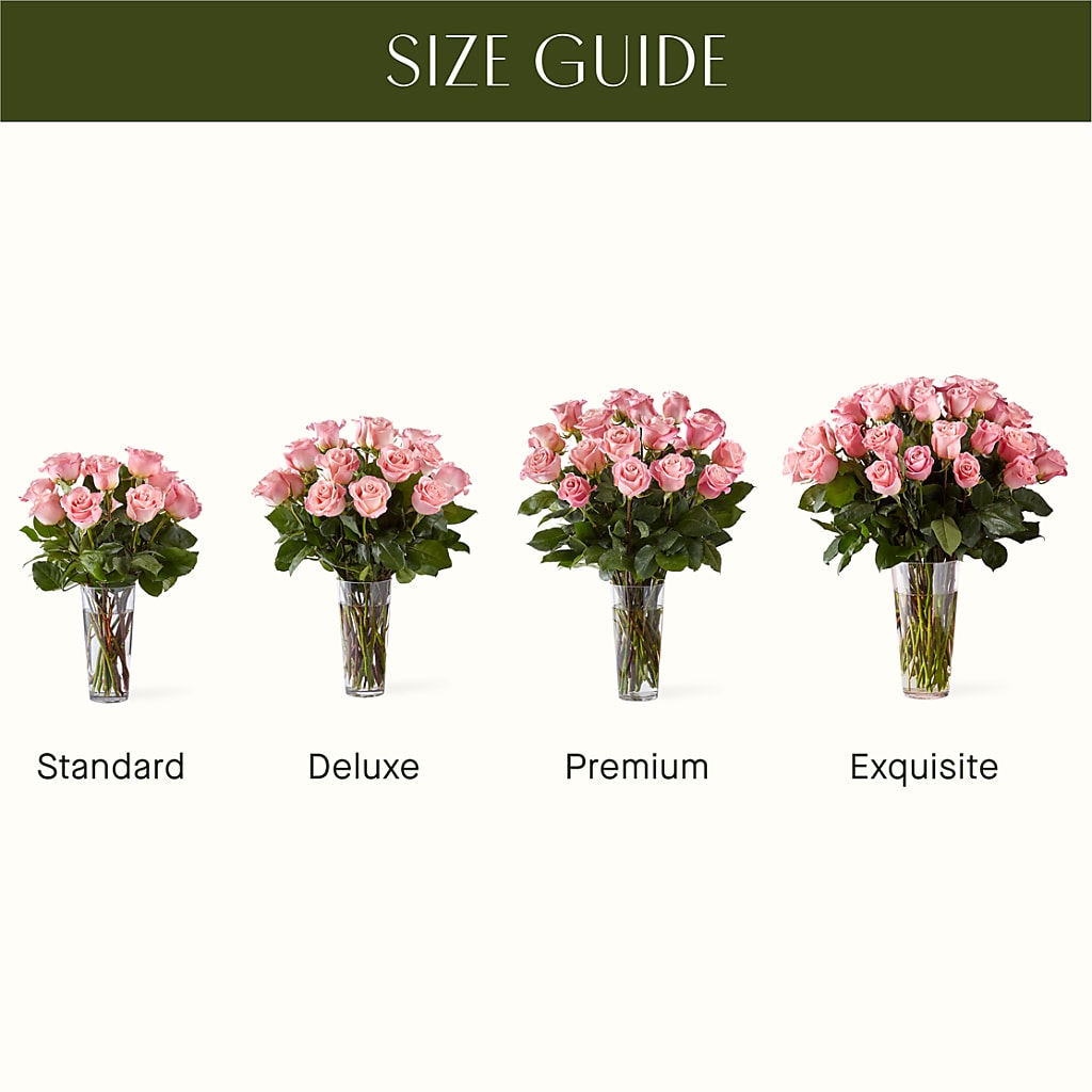 Long Stem Pink Rose Bouquet – Jose Arrangements, Los Angeles CA