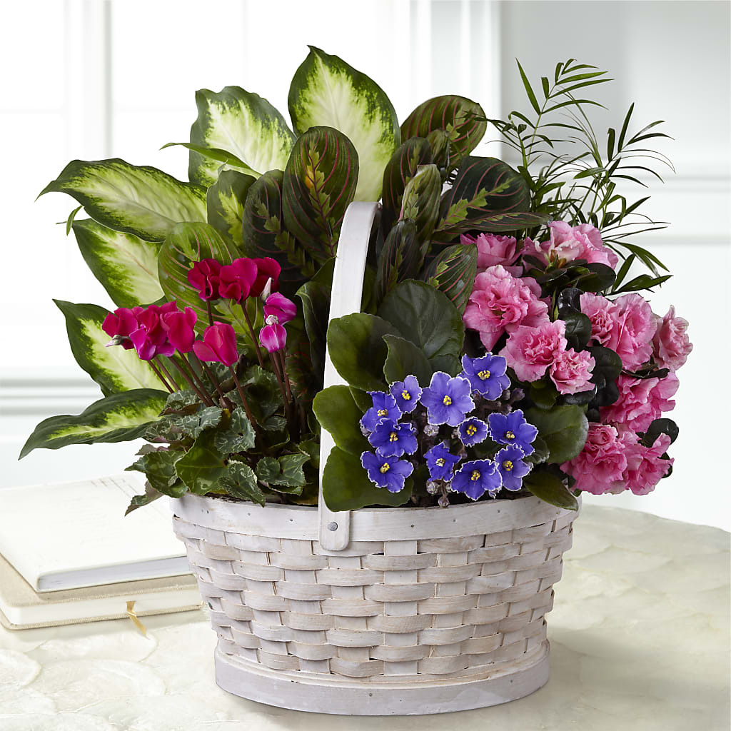 Peaceful Garden Planter – Jose Arrangements, Los Angeles CA