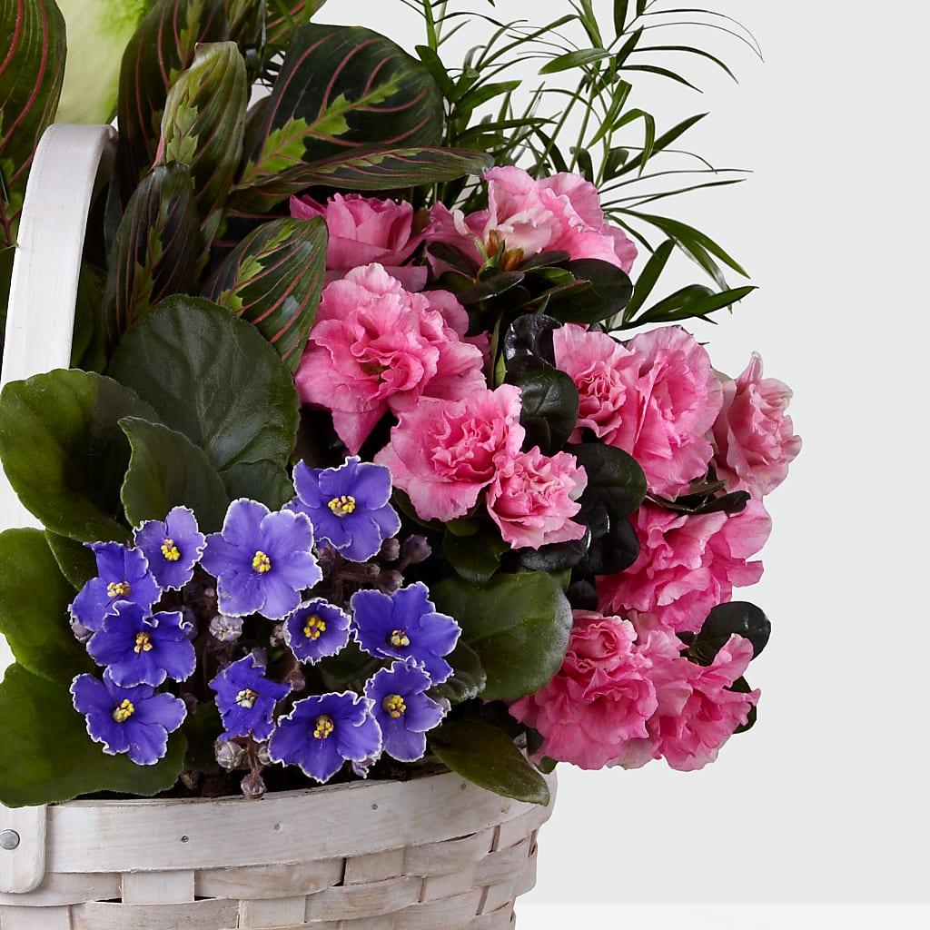 Peaceful Garden Planter – Jose Arrangements, Los Angeles CA
