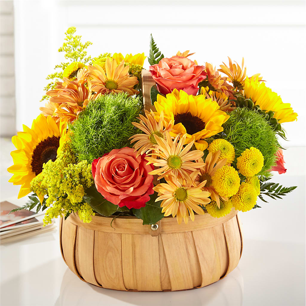 Harvest Sunflower Basket – Jose Arrangements, Los Angeles CA