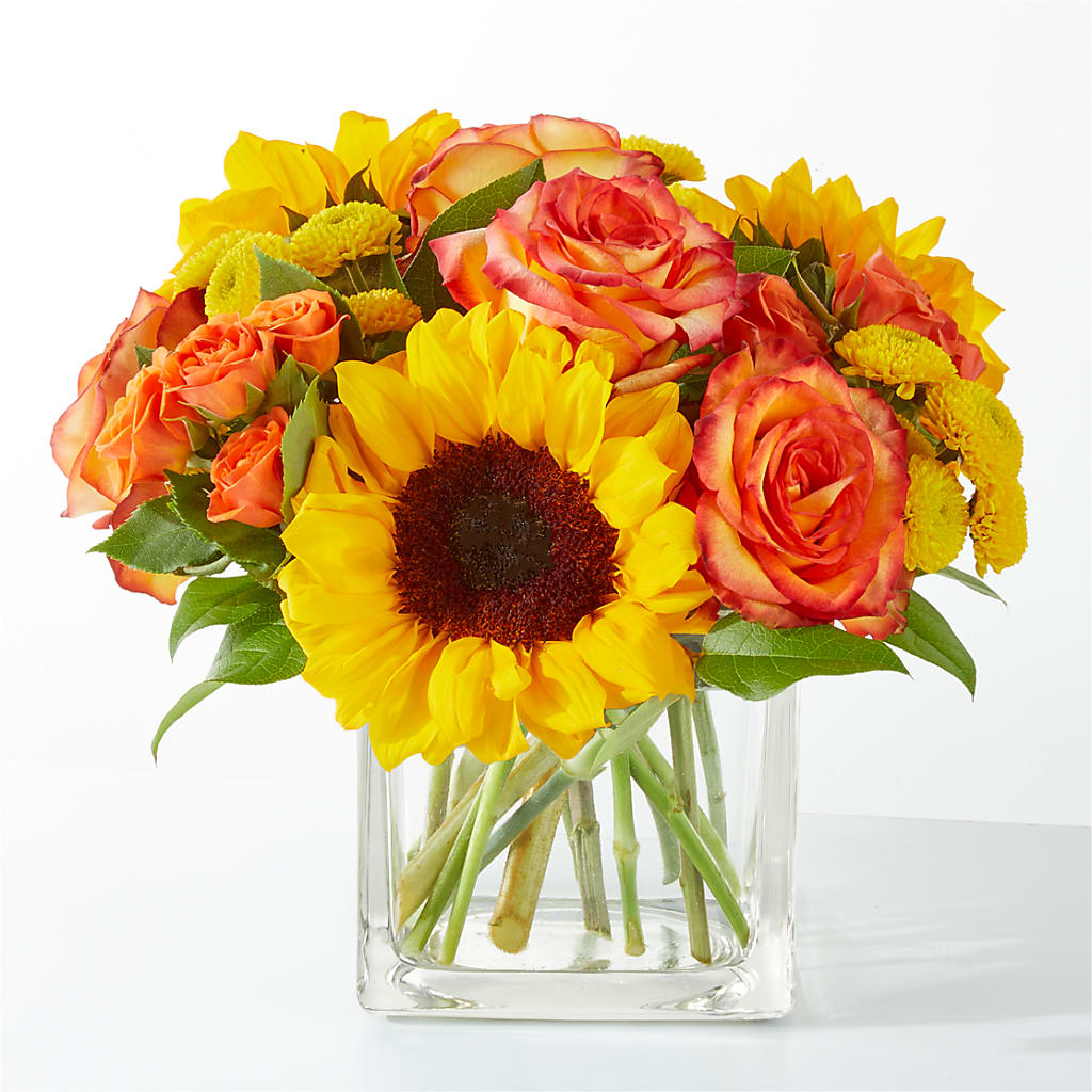 Picnic in the Park Bouquet – Jose Arrangements, Los Angeles CA