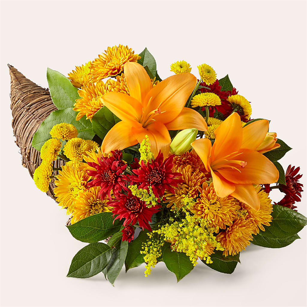 Feast of Color Cornucopia – Jose Arrangements, Los Angeles CA
