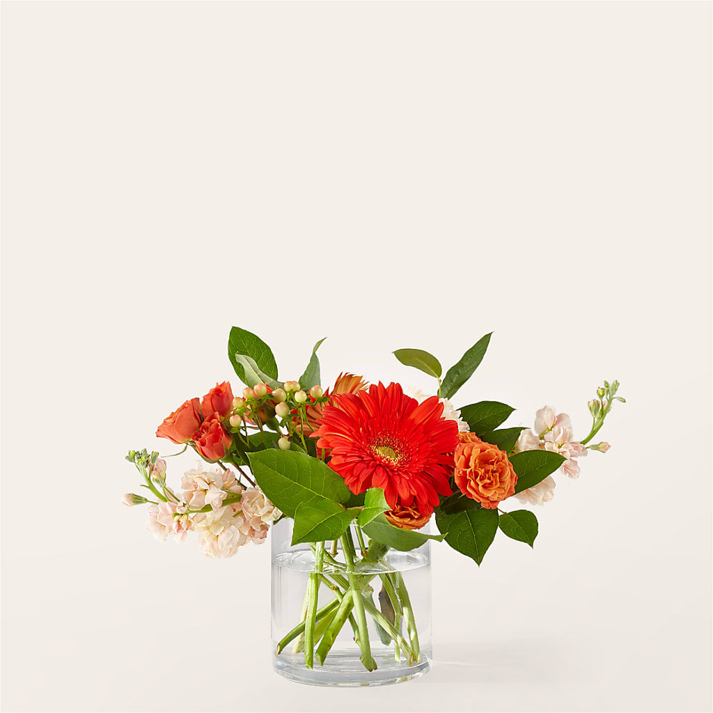 Paloma Please Bouquet – Jose Arrangements, Los Angeles CA