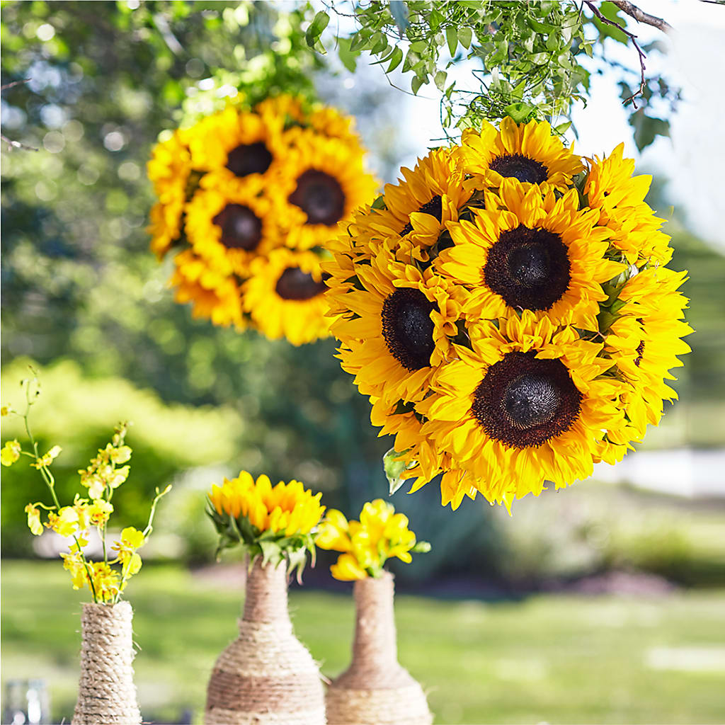 Sublime Garden Hanging Arrangement – Jose Arrangements, Los Angeles CA