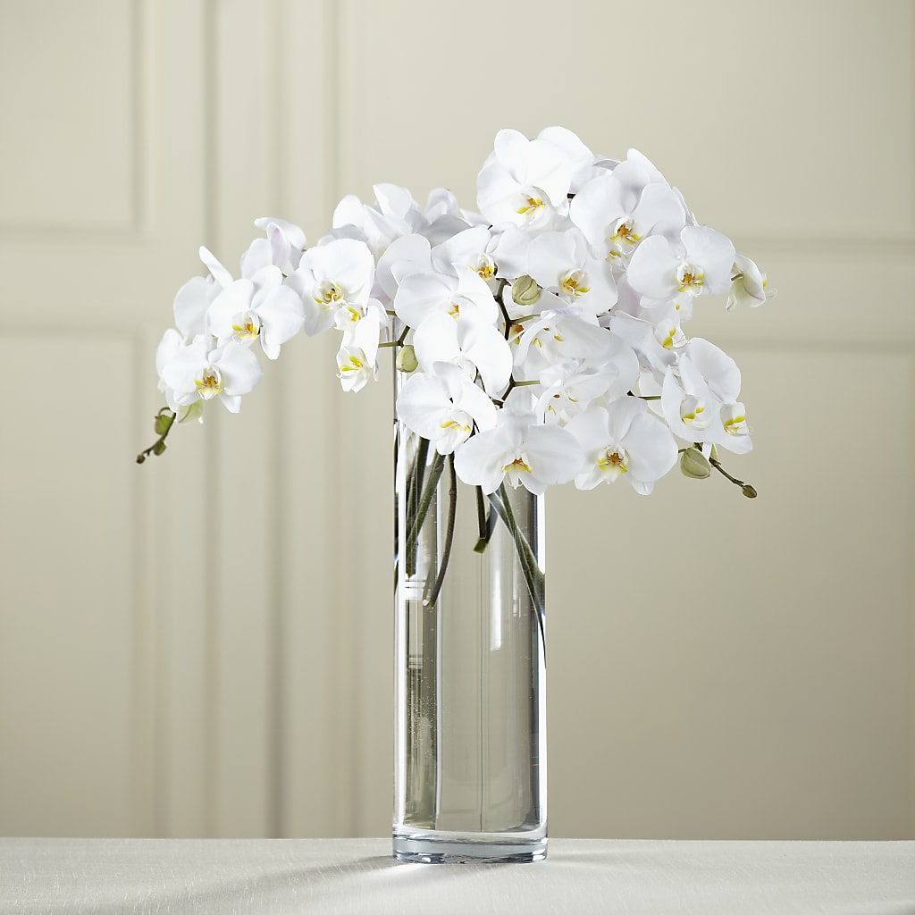 White Phalaenopsis Bouquet – Jose Arrangements, Los Angeles CA