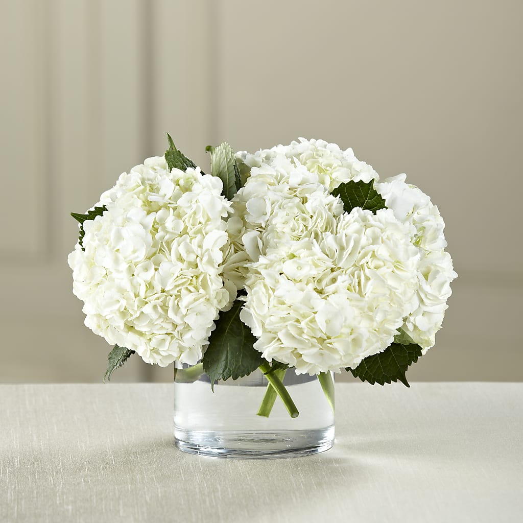 White Hydrangea Bouquet – Jose Arrangements, Los Angeles CA