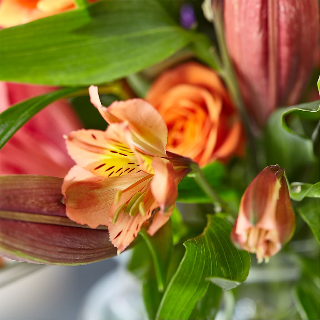 Bold & Bright – A Florist Original –  Jose Arrangements, Los Angeles CA