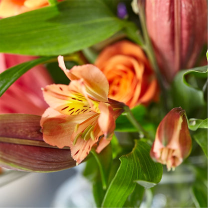 Bold & Bright – A Florist Original –  Jose Arrangements, Los Angeles CA