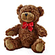 Adorable Plush Bear –  Jose Arrangements, Los Angeles CA