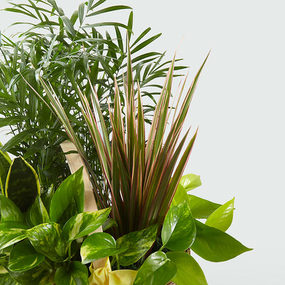 French Garden –  Jose Arrangements, Los Angeles CA