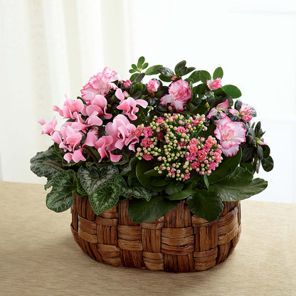 Pink Assortment –  Jose Arrangements, Los Angeles CA