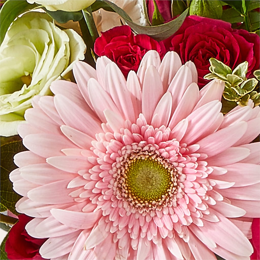 Too Cute Bouquet –  Jose Arrangements, Los Angeles CA
