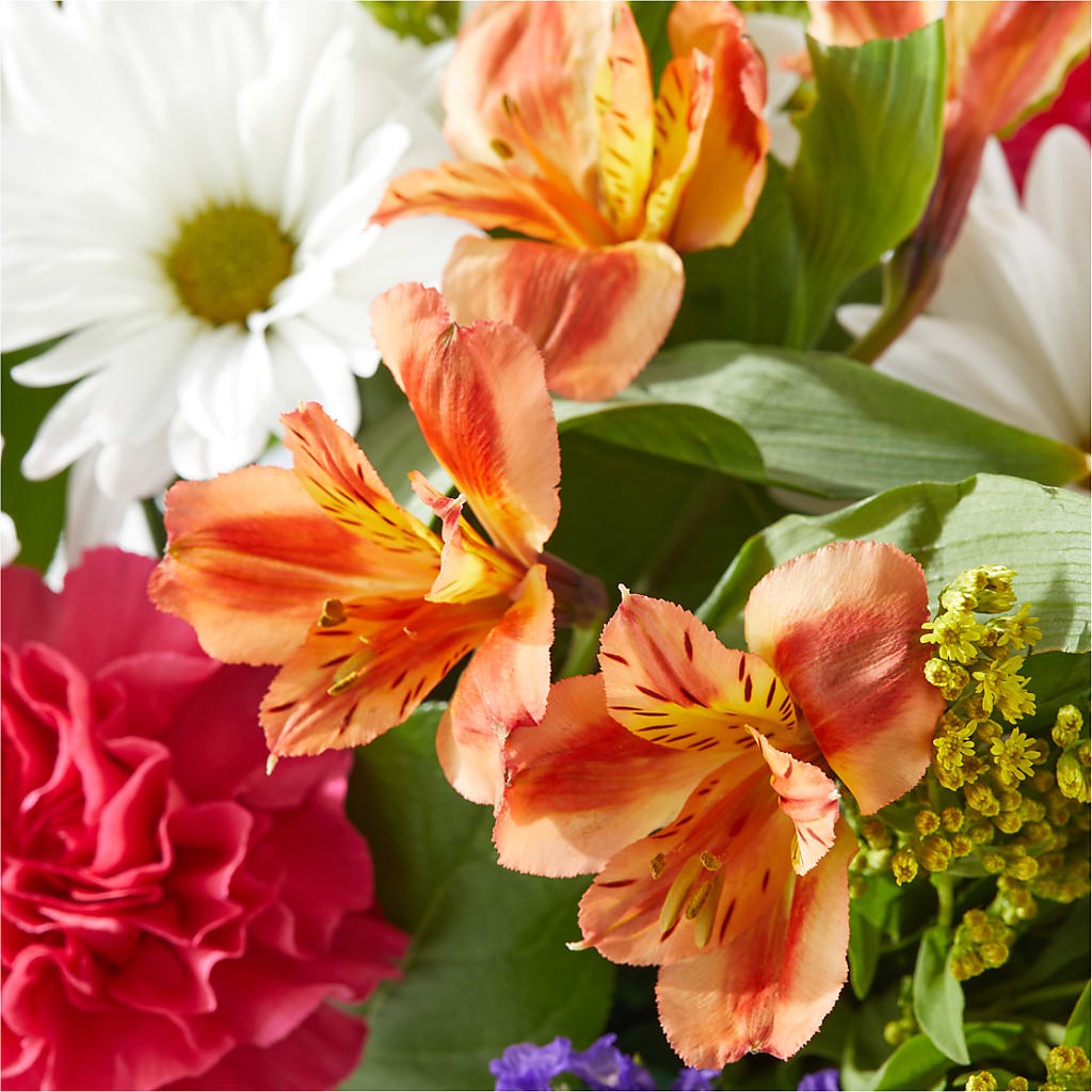 Oopsie Daisy Box Bouquet –  Jose Arrangements, Los Angeles CA