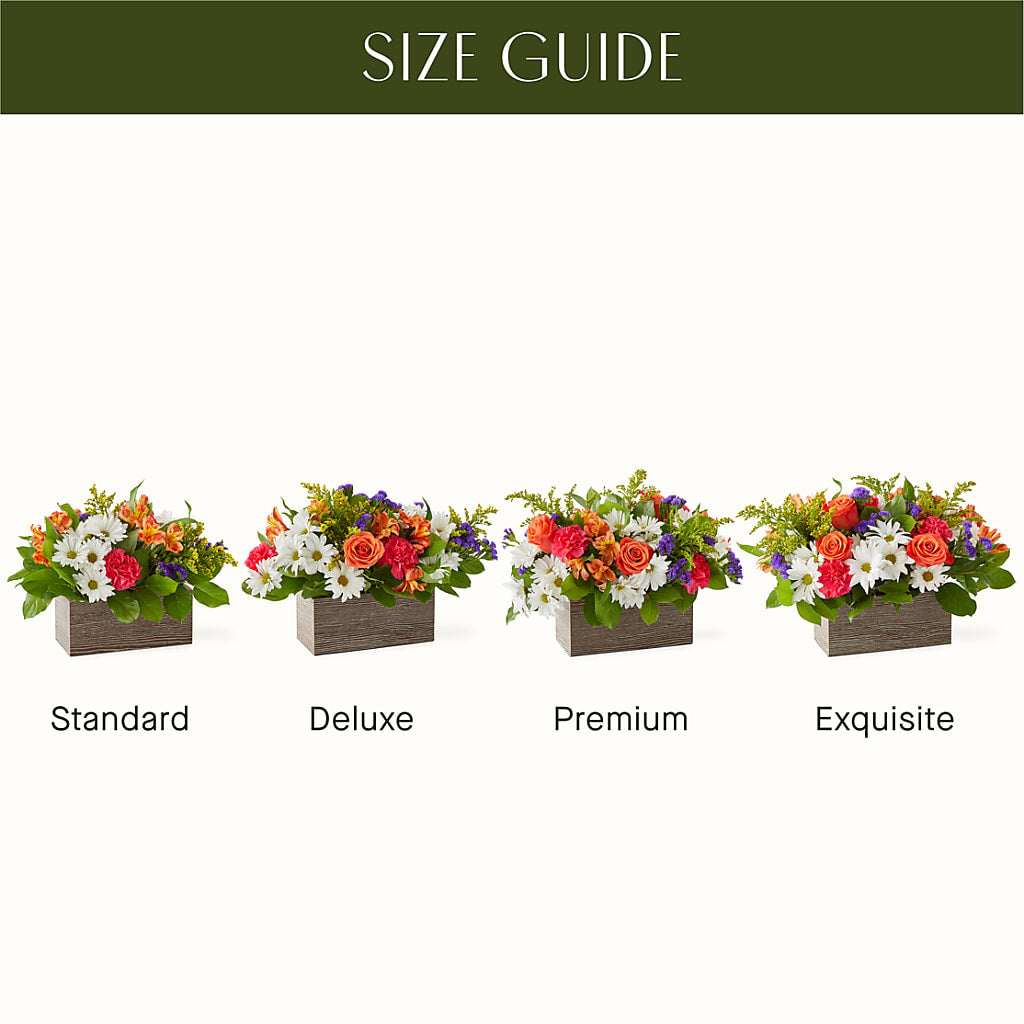 Oopsie Daisy Box Bouquet –  Jose Arrangements, Los Angeles CA