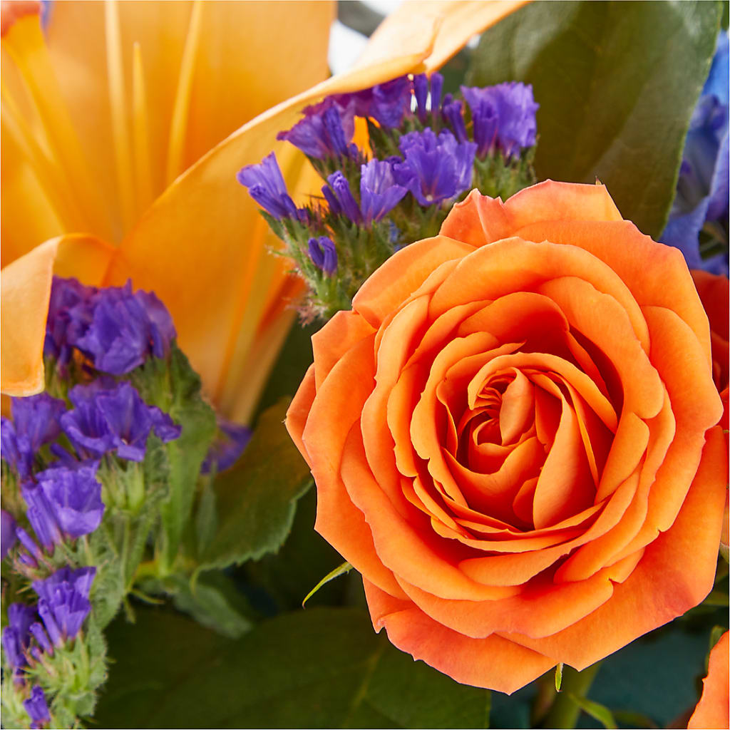 Radiant Citrus Box Bouquet –  Jose Arrangements, Los Angeles CA