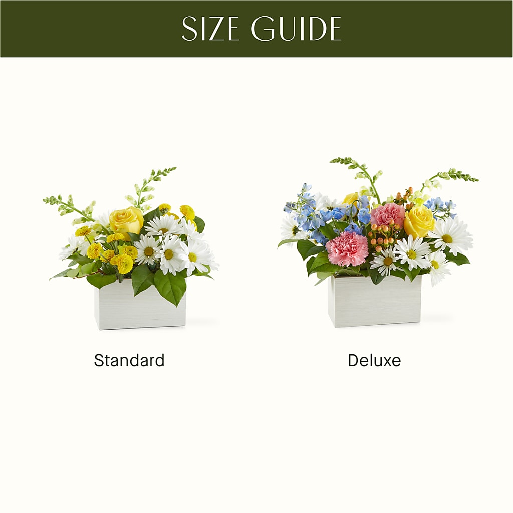 Sun Salutation Box Bouquet –  Jose Arrangements, Los Angeles CA