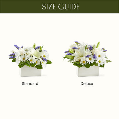Beyond Blue Box Bouquet –  Jose Arrangements, Los Angeles CA