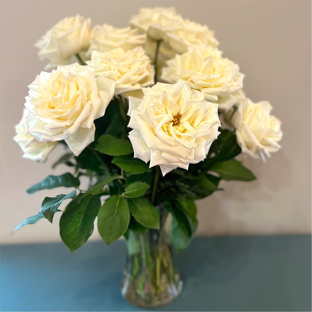 Long Stem Yellow Rose Bouquet –  Jose Arrangements, Los Angeles CA