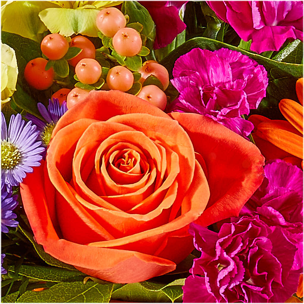 Tricks & Treats Pumpkin –  Jose Arrangements, Los Angeles CA