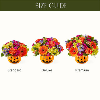 Tricks & Treats Pumpkin –  Jose Arrangements, Los Angeles CA