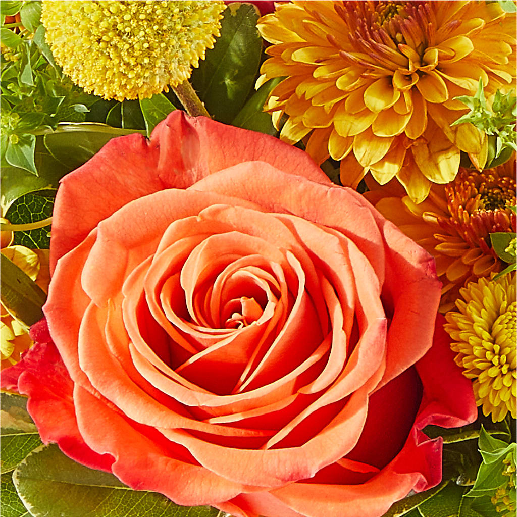Gourdgeous Pumpkin –  Jose Arrangements, Los Angeles CA