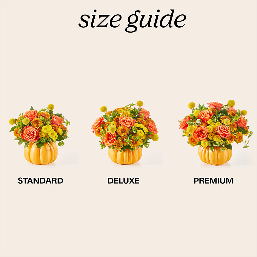 Gourdgeous Pumpkin –  Jose Arrangements, Los Angeles CA