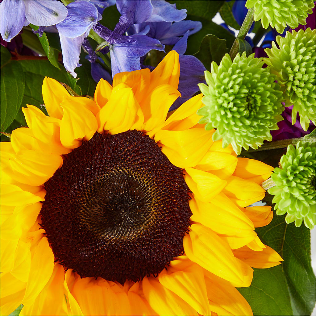 Catching Rays Bouquet –  Jose Arrangements, Los Angeles CA