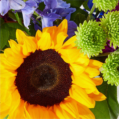 Catching Rays Bouquet –  Jose Arrangements, Los Angeles CA
