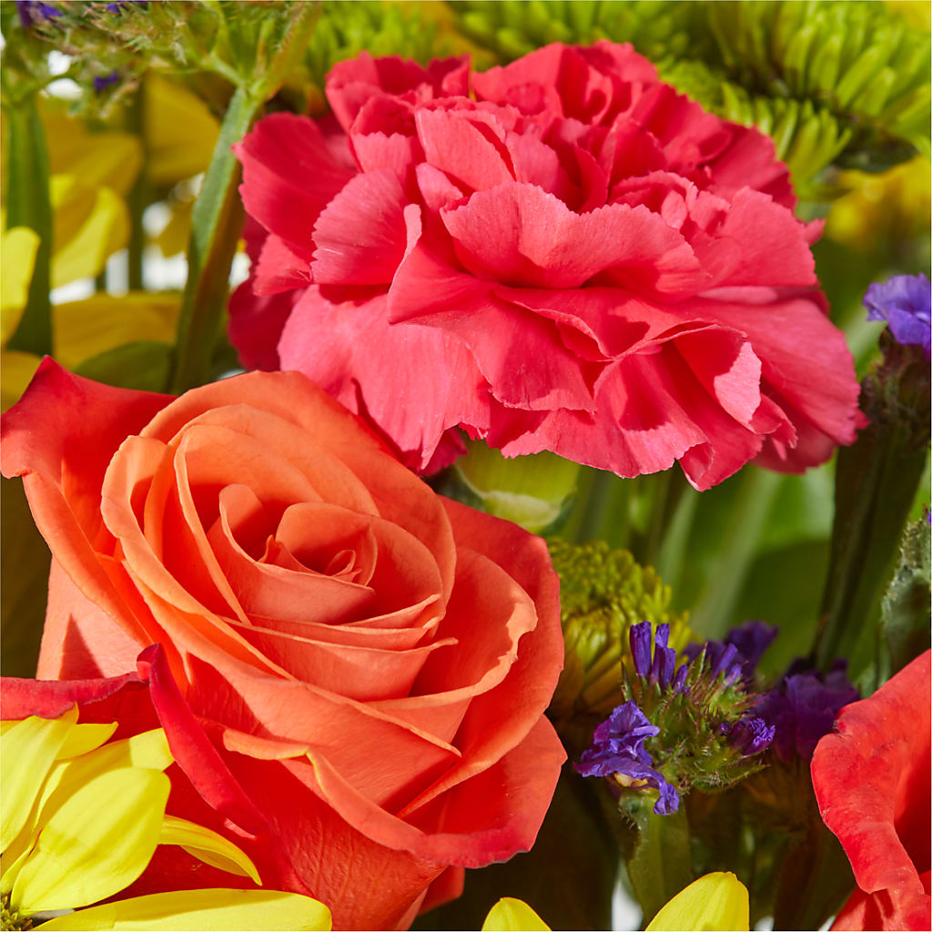 Brighter Days Bouquet –  Jose Arrangements, Los Angeles CA
