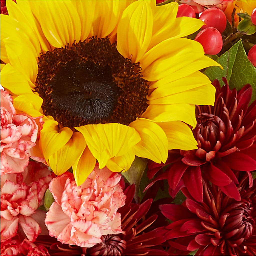 Fresh Cider Bouquet –  Jose Arrangements, Los Angeles CA