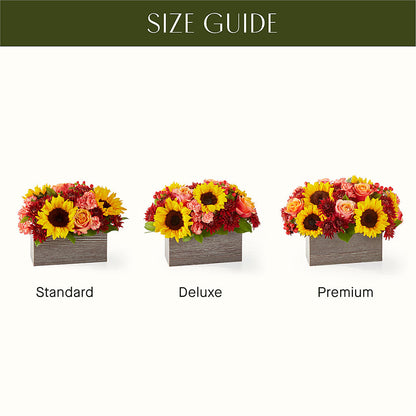 Fresh Cider Bouquet –  Jose Arrangements, Los Angeles CA
