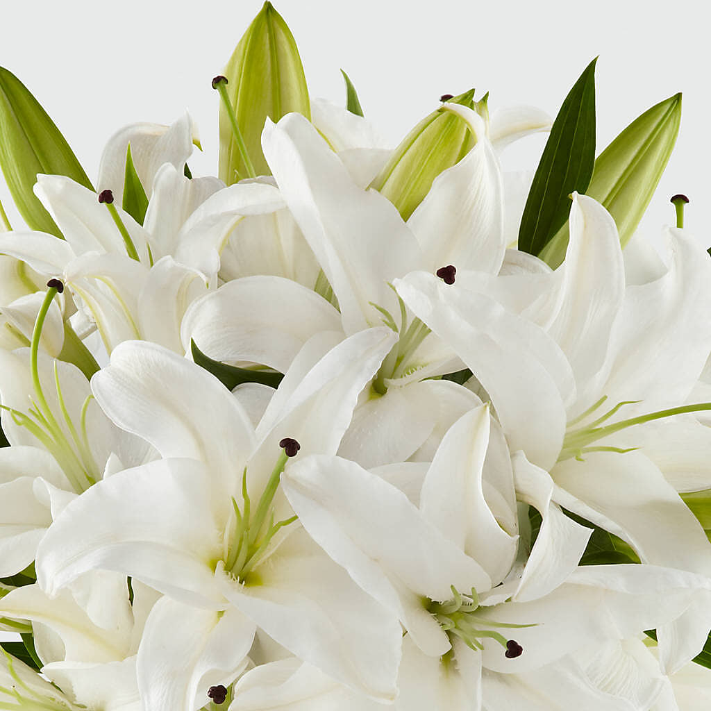 Faithful Blessings Bouquet –  Jose Arrangements, Los Angeles CA