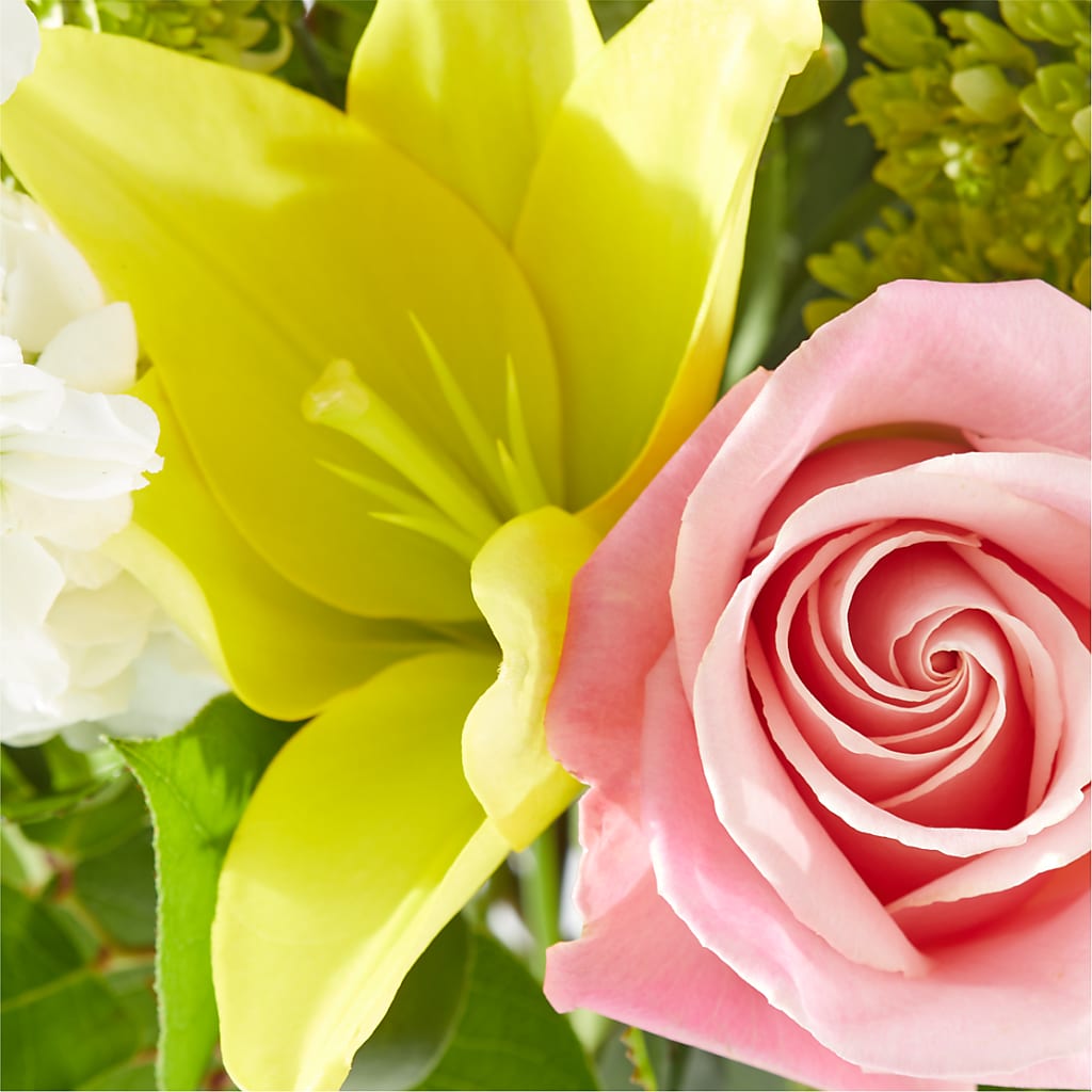Garden Delight Bouquet –  Jose Arrangements, Los Angeles CA