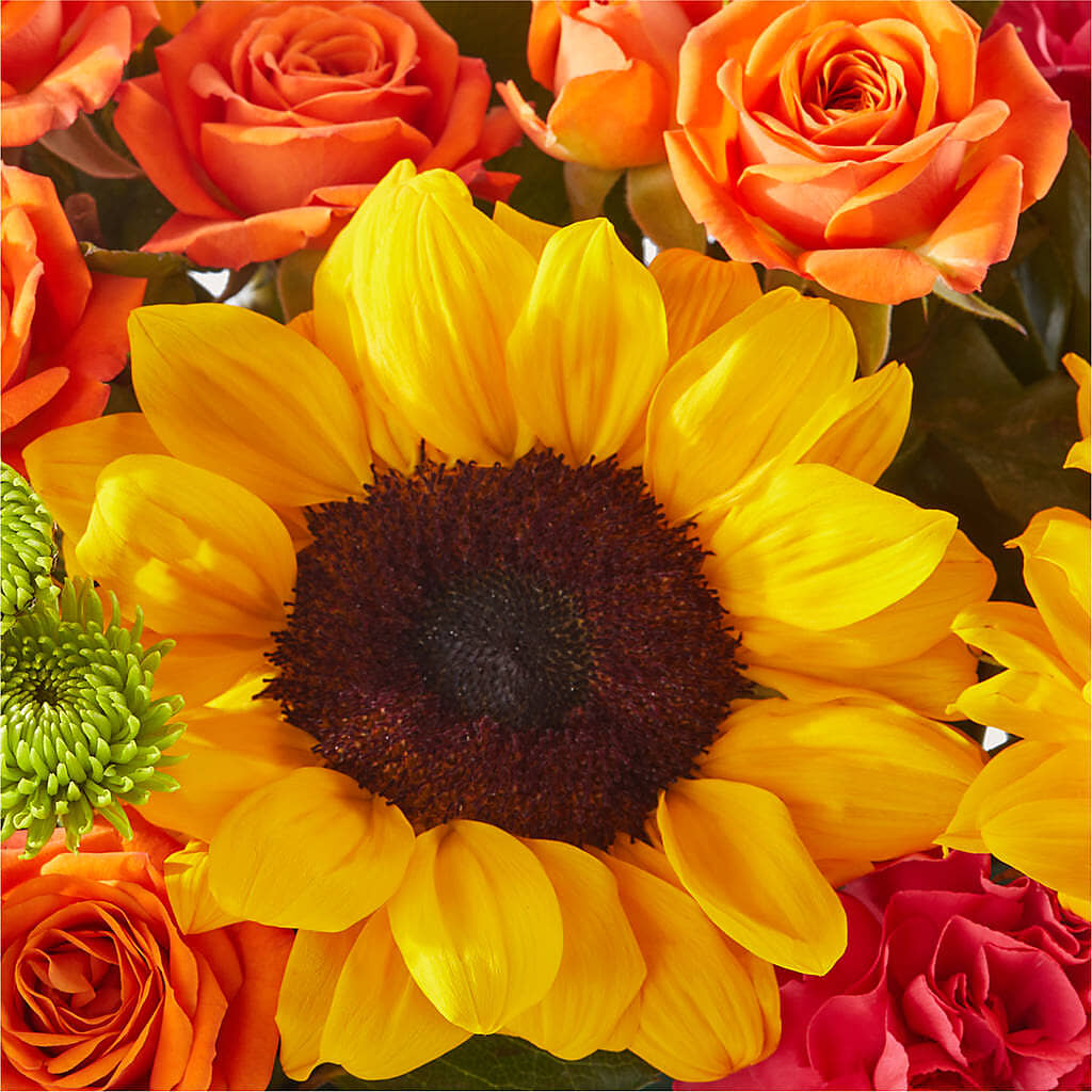 Sun-drenched Blooms Box Bouquet –  Jose Arrangements, Los Angeles CA