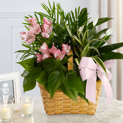 Living Spirit Dishgarden –  Jose Arrangements, Los Angeles CA
