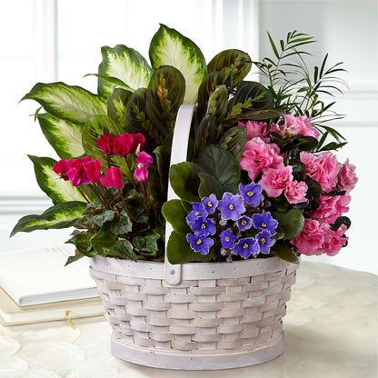 Peaceful Garden Planter –  Jose Arrangements, Los Angeles CA