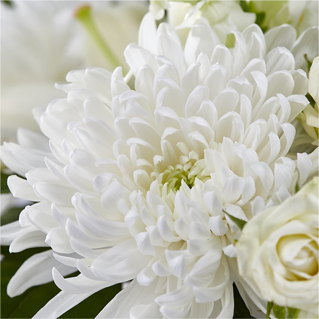 Classic Ivory – A Florist Original –  Jose Arrangements, Los Angeles CA