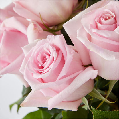 Picture Perfect Pink Rose Bouquet –  Jose Arrangements, Los Angeles CA