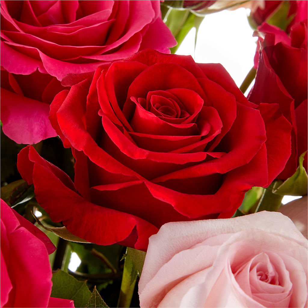 Love Notes Rose Bouquet –  Jose Arrangements, Los Angeles CA