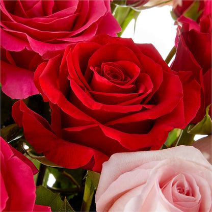 Love Notes Rose Bouquet –  Jose Arrangements, Los Angeles CA