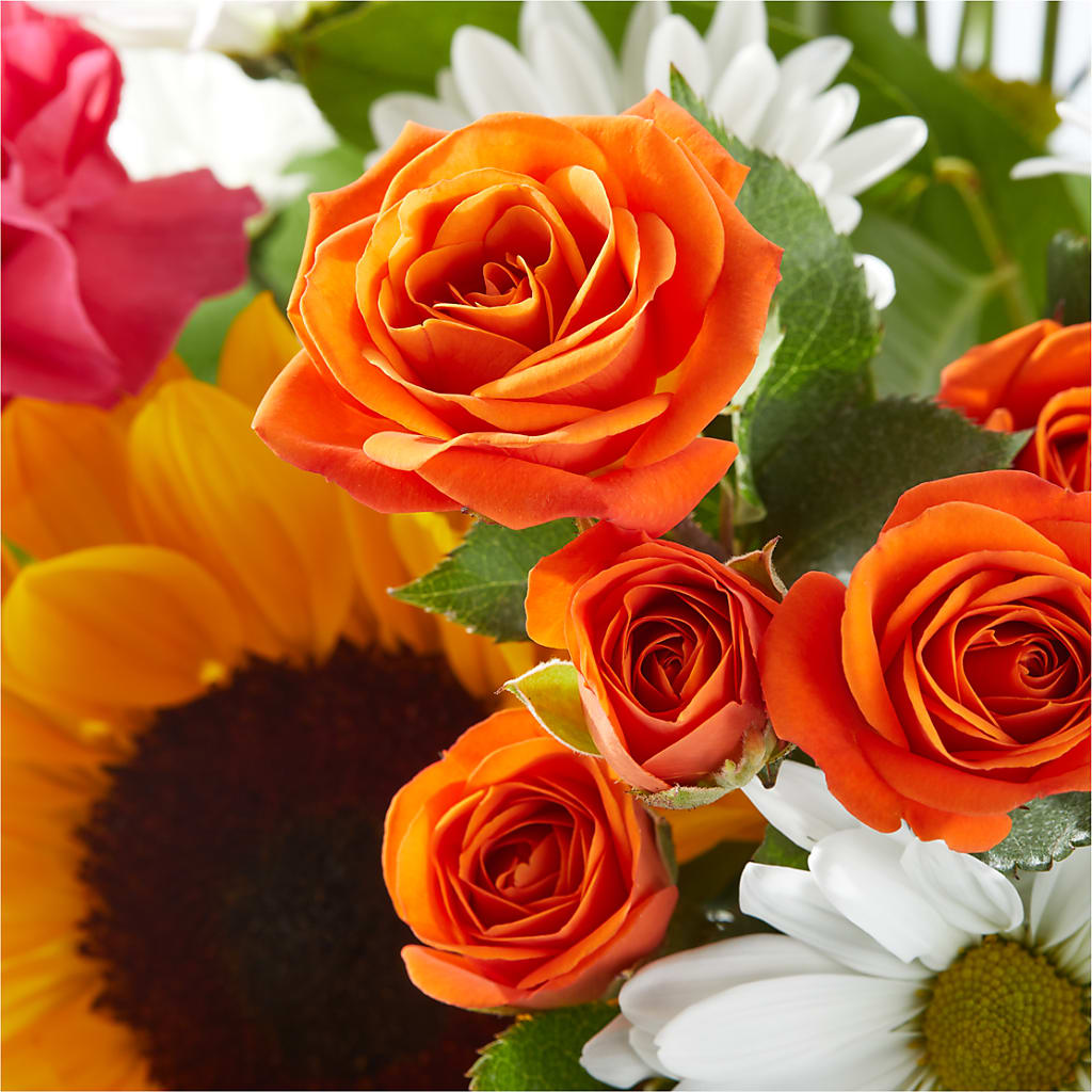 Sun-drenched Blooms Bouquet –  Jose Arrangements, Los Angeles CA