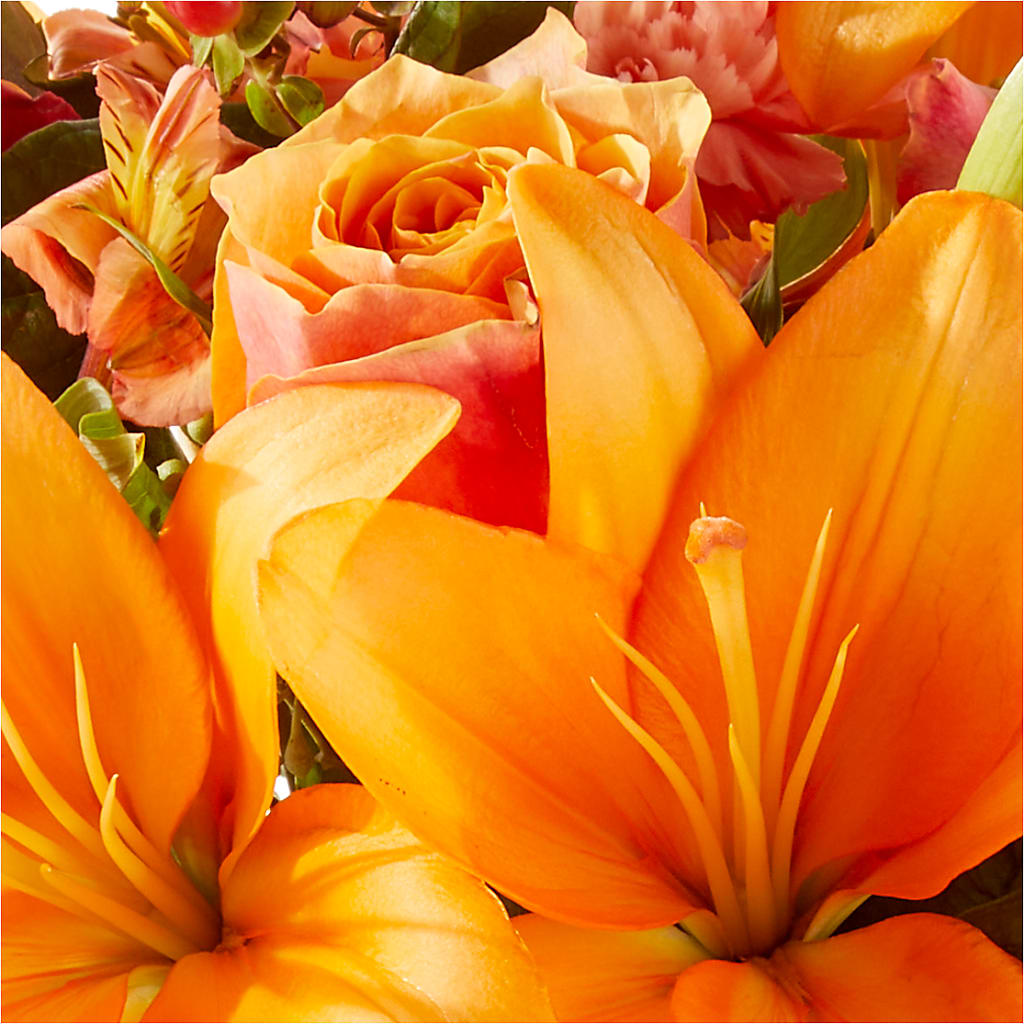 Afternoon Light Bouquet –  Jose Arrangements, Los Angeles CA