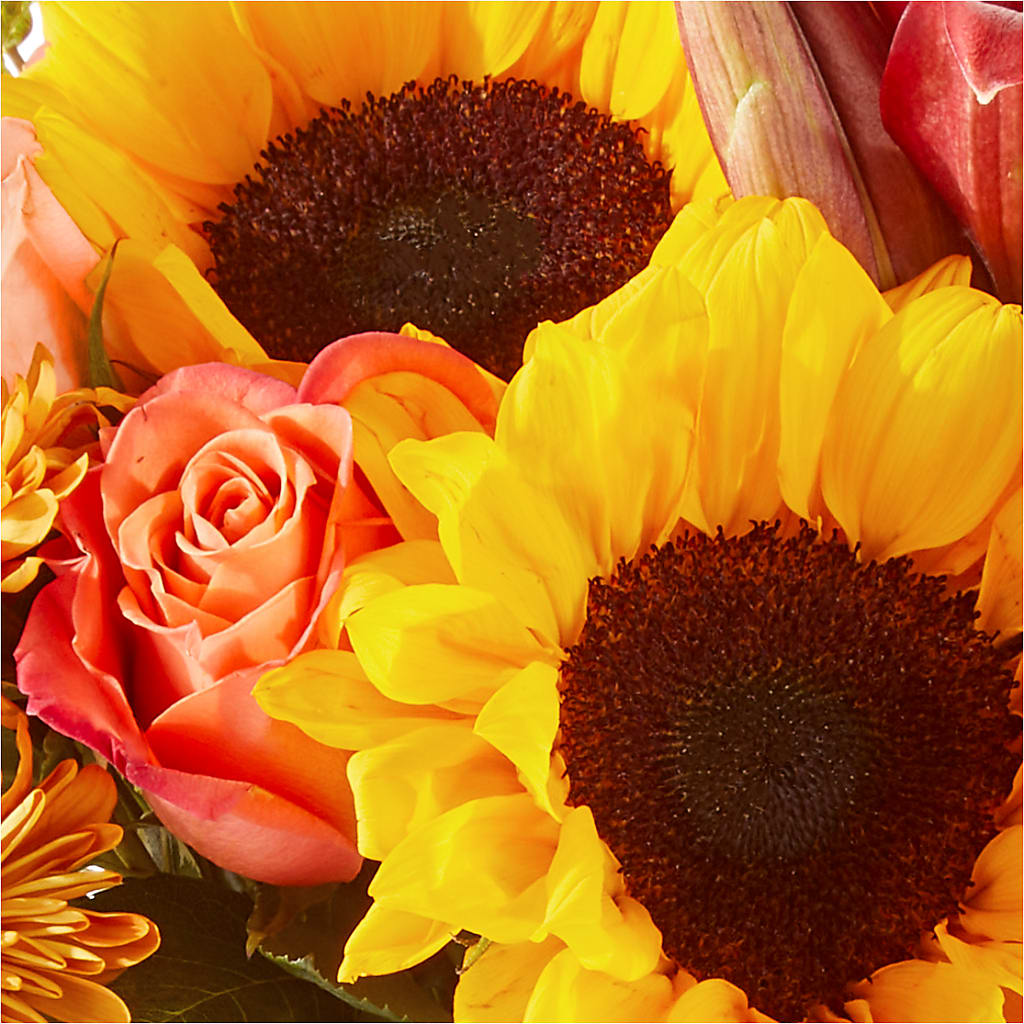 Acorn Lane Bouquet –  Jose Arrangements, Los Angeles CA