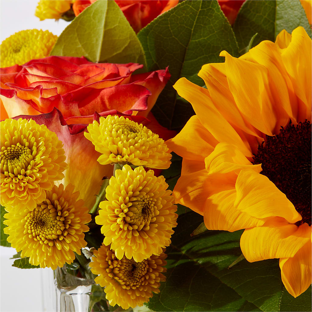 Picnic in the Park Bouquet –  Jose Arrangements, Los Angeles CA