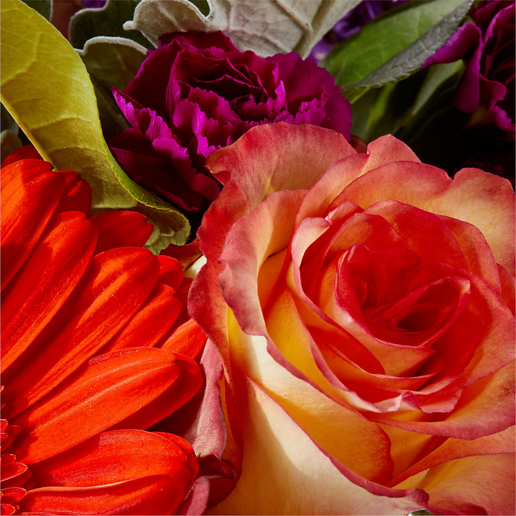 Sangria Bouquet –  Jose Arrangements, Los Angeles CA
